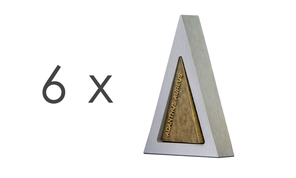 acantus_x6